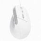 Bayo II Ergonomic Mouse - White