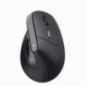 TM-270 Ergonomic Wireless Mouse