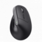 Bayo+ Multidevice Ergonomic Wireless Mouse