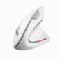 Verto Ergonomic Wireless Mouse - White