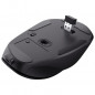 Souris Sans Fil TRUST Fyda - Noir