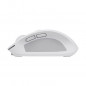 Souris Sans Fil TRUST Ozaa Multi-Appareils - Blanc