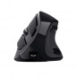 Souris Sans Fil TRUST VOXX Rechargeable Avec Affichage - Noir