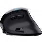 Souris Sans Fil TRUST VOXX Rechargeable Avec Affichage - Noir